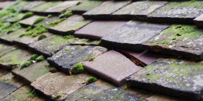 Thaxted roof repair costs